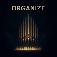 Organize