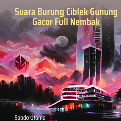 Suara Burung Ciblek Gunung Gacor Full Nembak