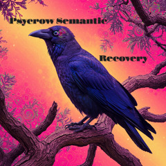 Psycrow Semantic-Recovery