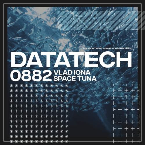 Vlad Iona - Space Tuna [Radio Edit]