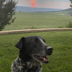 General Hairpiece (Say It With A Borat Voice)