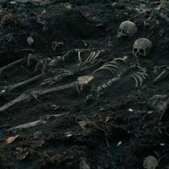 first cow song (for cookie and king lu)