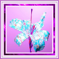 WM🎧#897🥁🎹🎸🪗🎻🎷🎺🪈🪘🪇