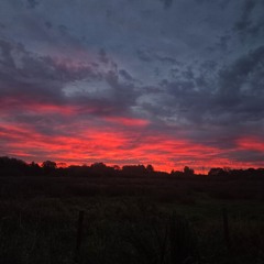 stuck in my mind ✨️