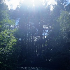 Lillie - (Prod. SLAUGHTERHILL)