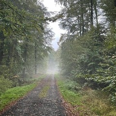 Молодость не мертва! (Single)