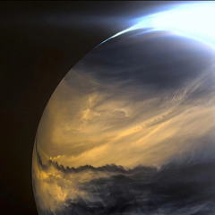 Cravings & Addictions