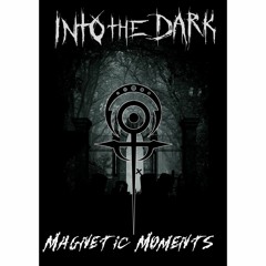 INTO THE DARK - Magnetic Moments