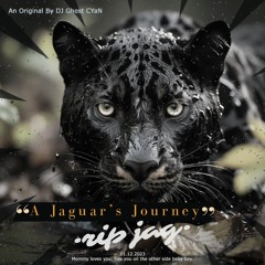 A Jaguar's Journey