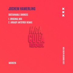 Jochem Hamerling - Sustainable Sources (Arkady Antsyrev Remix)