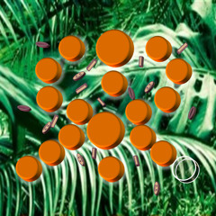 rObcast five