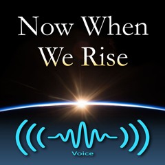 NWWR - Audiobook - Title and Cover