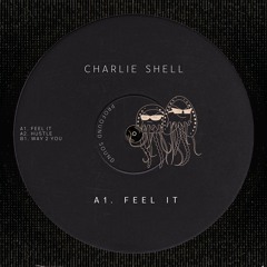 [BANDCAMP] Charlie Shell - Feel It