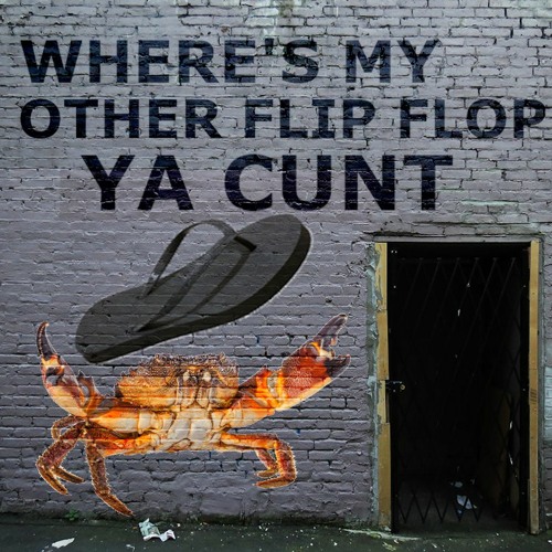 Where'My Other Flip Flop?