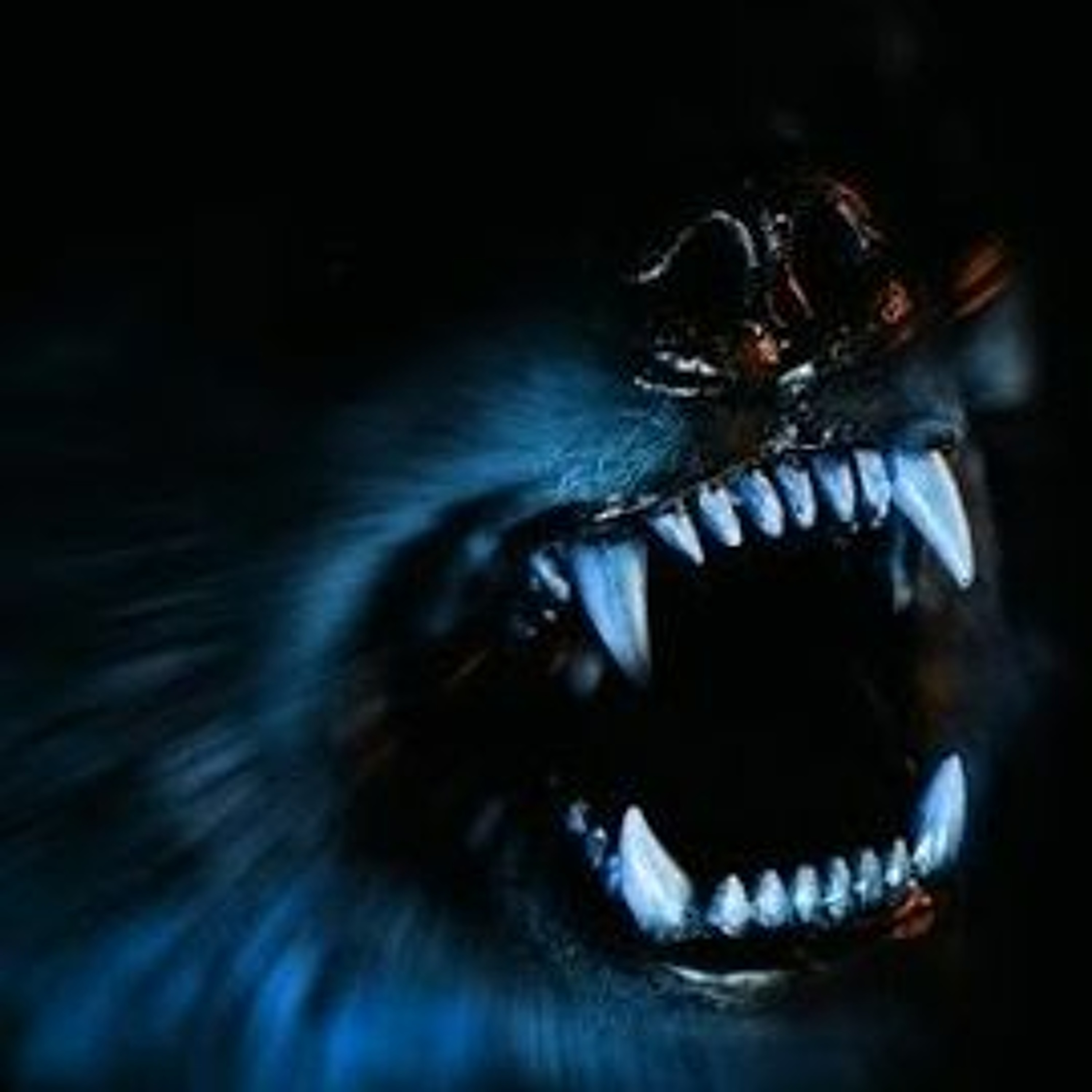 "THE CAPTAINS OF ENTERPRISE" - FL@T EARTH, THE LAW OF YAH, ARABIAN NIGHTS & THE NATURE OF BEASTS