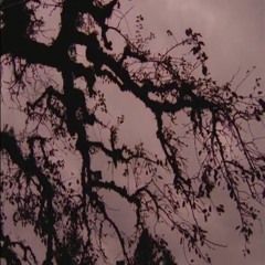 End of the Summer - Cancer