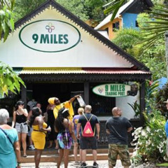 Review Special Price Bob Marleys Nine Mile Admission And Guided Tour From Montego Bay