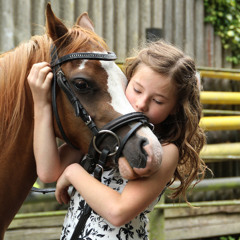 Hoppe hoppe Reiter