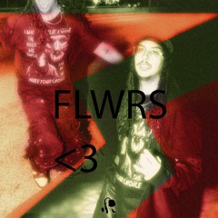 Rolo - FLWRS