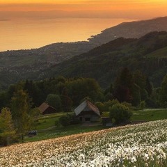 [이달의 마음 ; Mood of the month] Belif