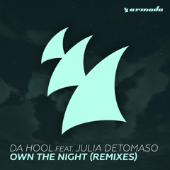 Da Hool feat. Julia DeTomaso - Own The Night (Cyborgs and Da Hool Remix)