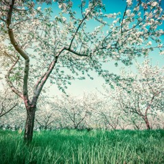 모든 것에 적응하는 생명(All-fitting Life)