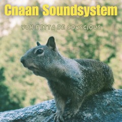 Cnaan Soundsystem - Yuh Betta be conscious            🔥Vinyl Mixtape 7 'Selection 🔥