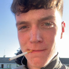 Mitzi Turbo Cup Hardy Bucks