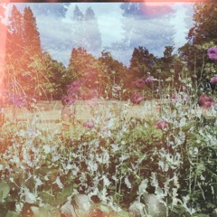 A Bit Of A Daydreamer