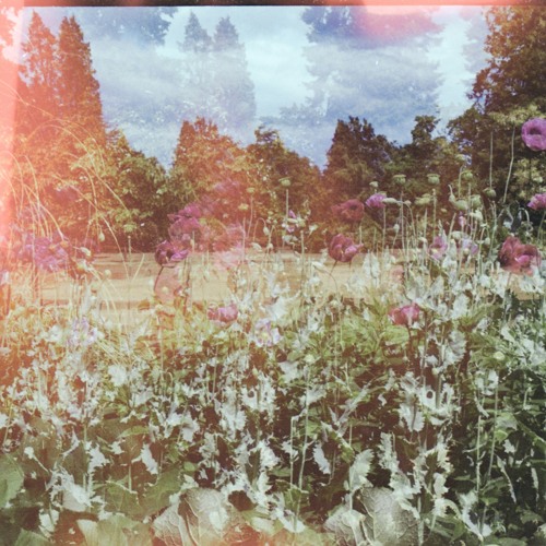 A Bit Of A Daydreamer