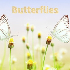 Butterflies (Prod. Ocean Beats)