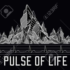 Patric E.  -  My Pulse 15.06.2020 (Fb Stream)