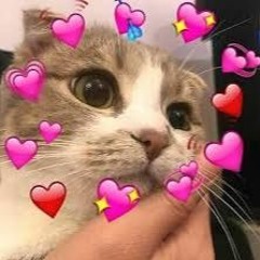 I love u forever Louis