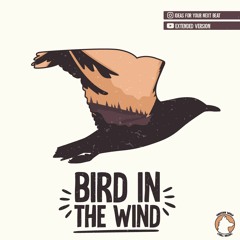 Bird In The Wind - [Chill Acoustic Guitar Type Beat]
