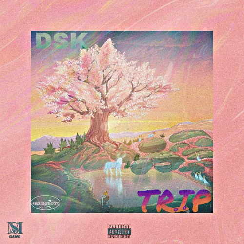 T R I P(Prod.KyleJunior)