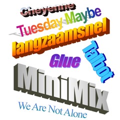 langzaamsnel MiniMix