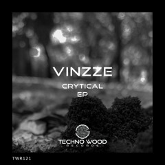 Vinzze - Crytical (Original Mix)