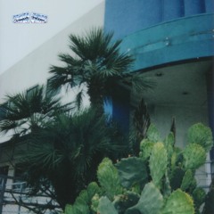 Late Stage Capitalism