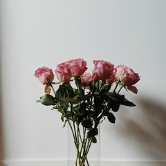 KHAYAAL - Slowed & Reverbed