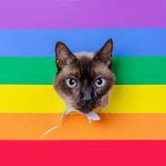 I LOVE MY CHOPPA PRIDE REMIX #YXK #YUKLIFE #GAY