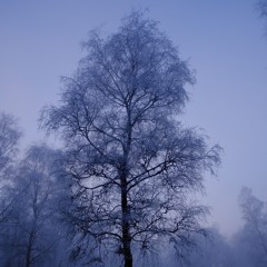 Winter dance