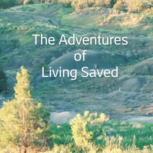 The Adventures Of Living Saved, Episode 54, We Need God