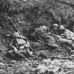 Like Worms In The Earth