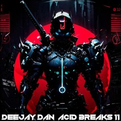 DeeJay Dan - Acid Breaks 11 [2024]