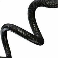 Black Snake Remix