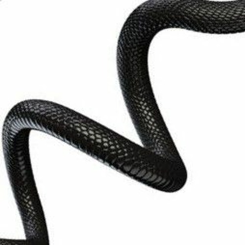 Black Snake Remix