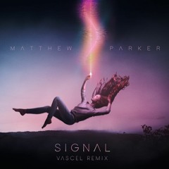 Matthew Parker - Signal (Vascel Remix)