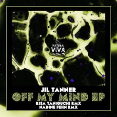 Jil Tanner - Off My Mind (Nadine Fehn remix)
