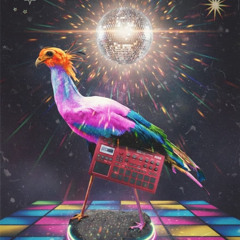 TekkBird - Night Trail (Hardtekk live Korg-Session)