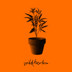 Wild Herb